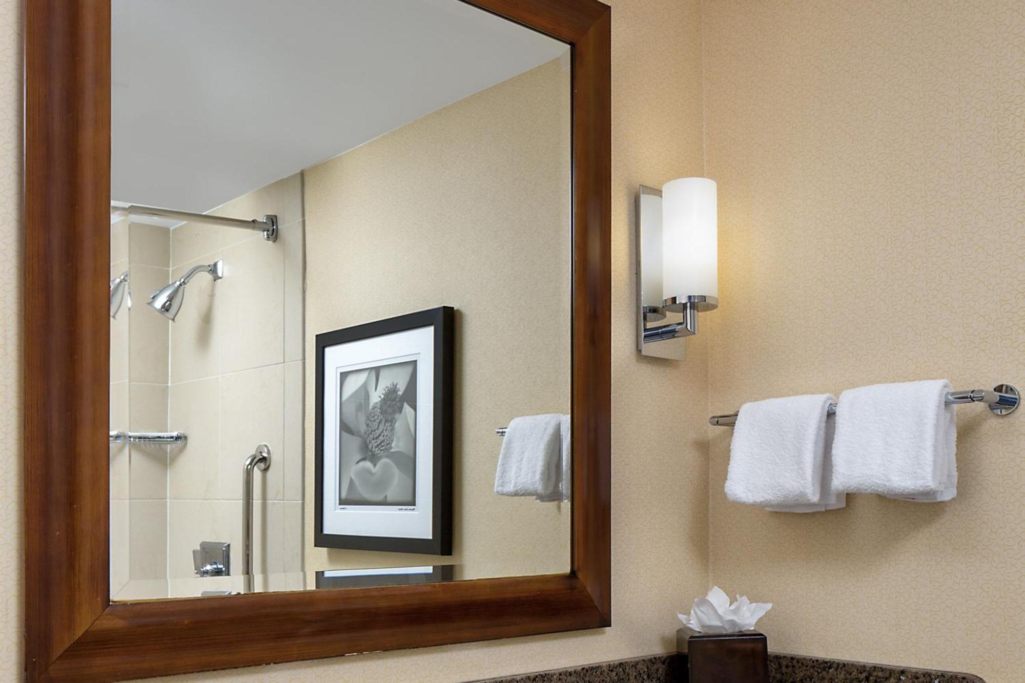 Wyndham Atlanta Buckhead Hotel & Conference Center Luaran gambar